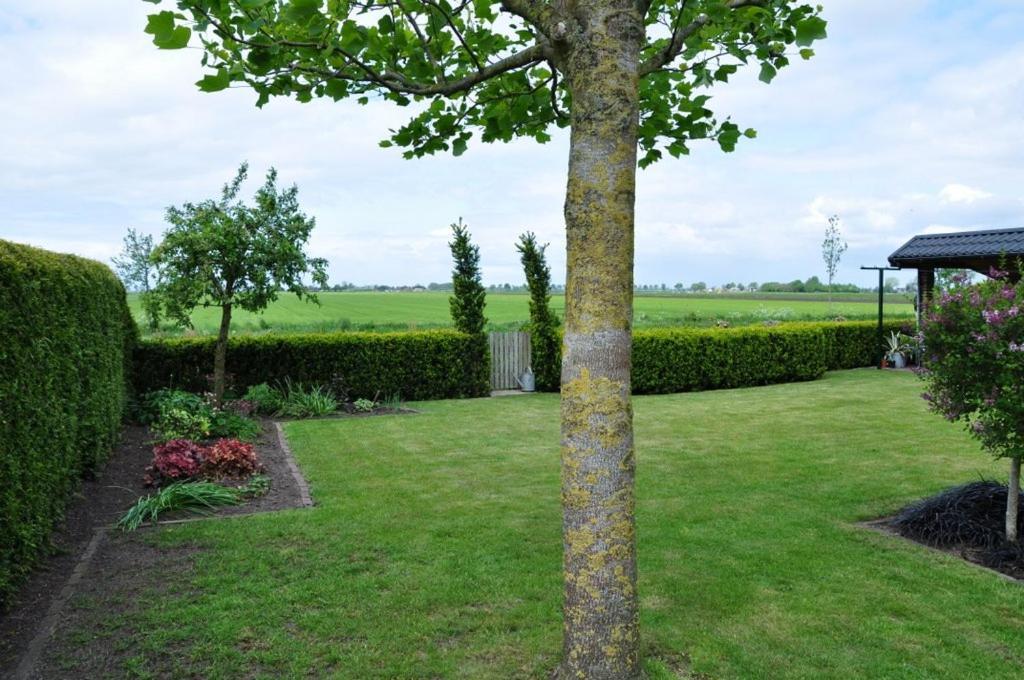 Bed and Breakfast Beukenlaan Rouveen Exterior foto